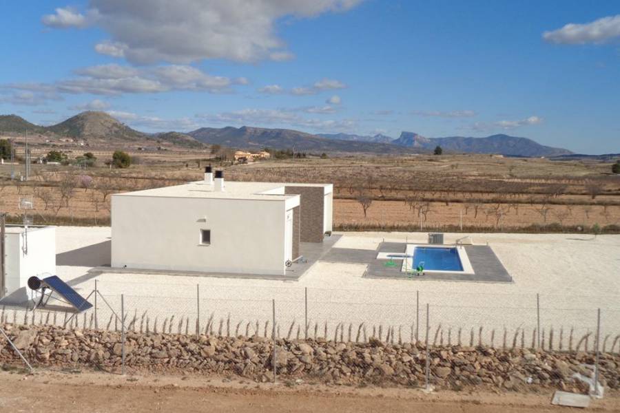 New Build - Detached - Pinoso - Camino Del Prado